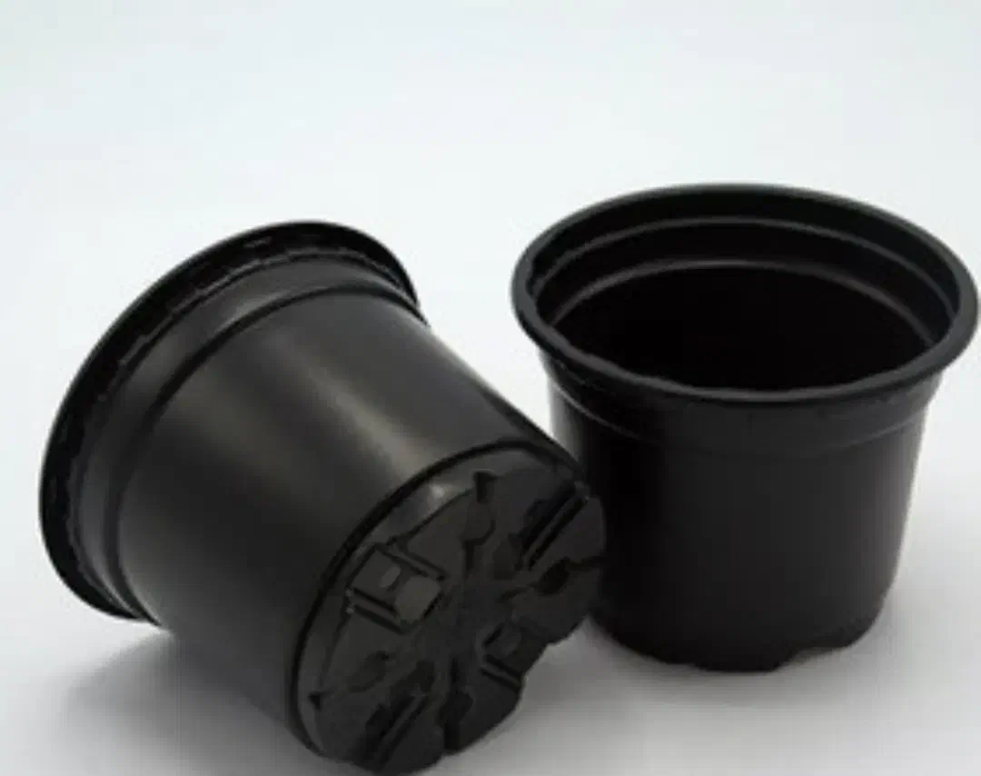 گلدان ژله ای سایز 12|صنایع دستی و سایر لوازم تزئینی|رودسر, |دیوار