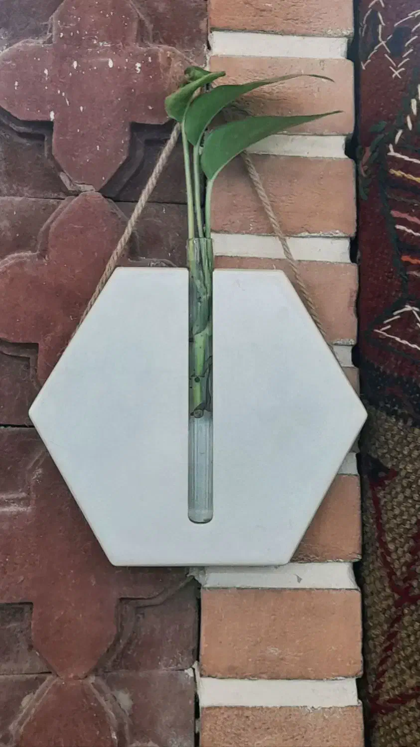 گلدان|گل و گیاه طبیعی|قرچک, زیبا شهر|دیوار