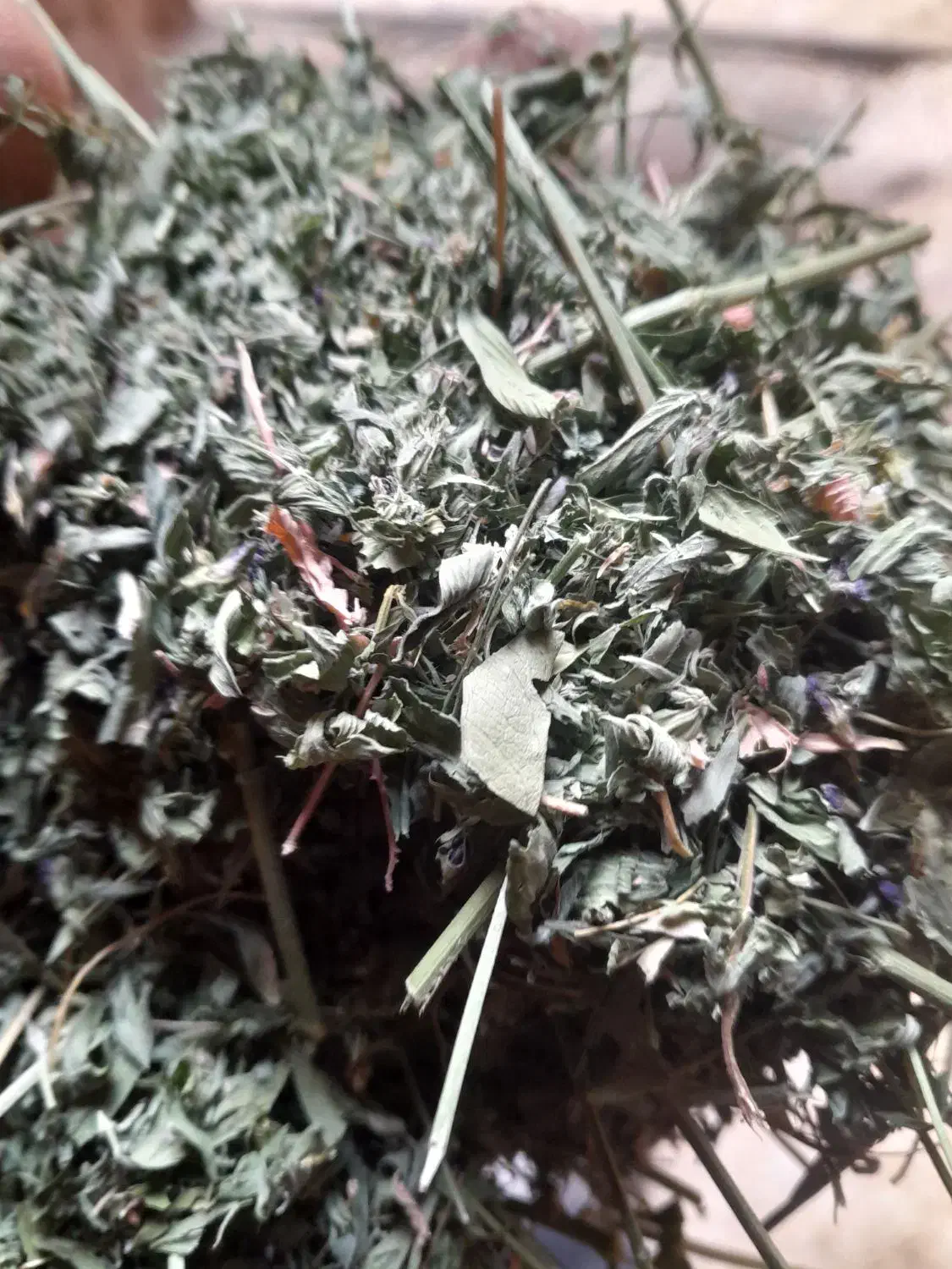 گل یونجه وشبدر|لوازم جانبی حیوانات|نهاوند, |دیوار