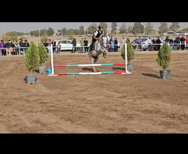 اسب دوخون سرحال|اسب و تجهیزات اسبسواری|گنبد کاووس, |دیوار