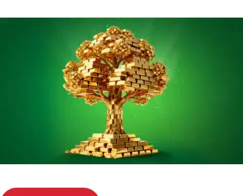 کسب درآمد فقط در سی ثانیه|کارت هدیه و تخفیف|ارومیه, |دیوار