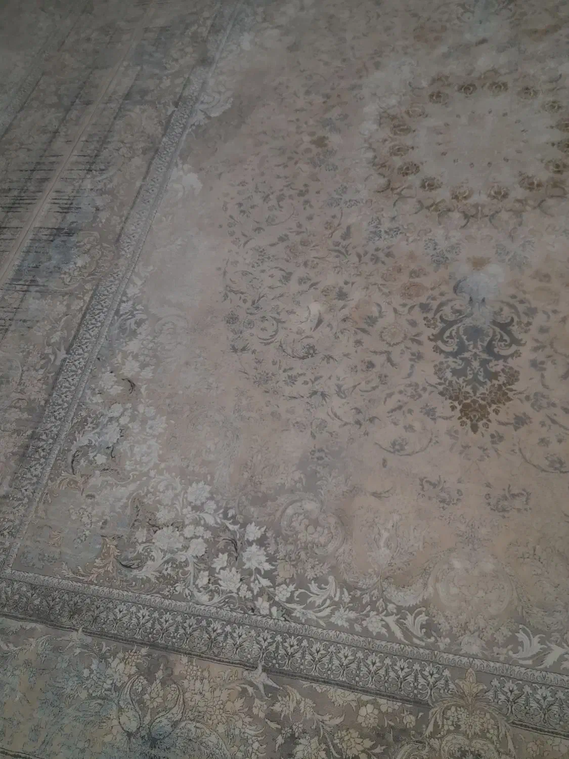 چهار عددفرش دوازده متری|فرش|دورود, |دیوار