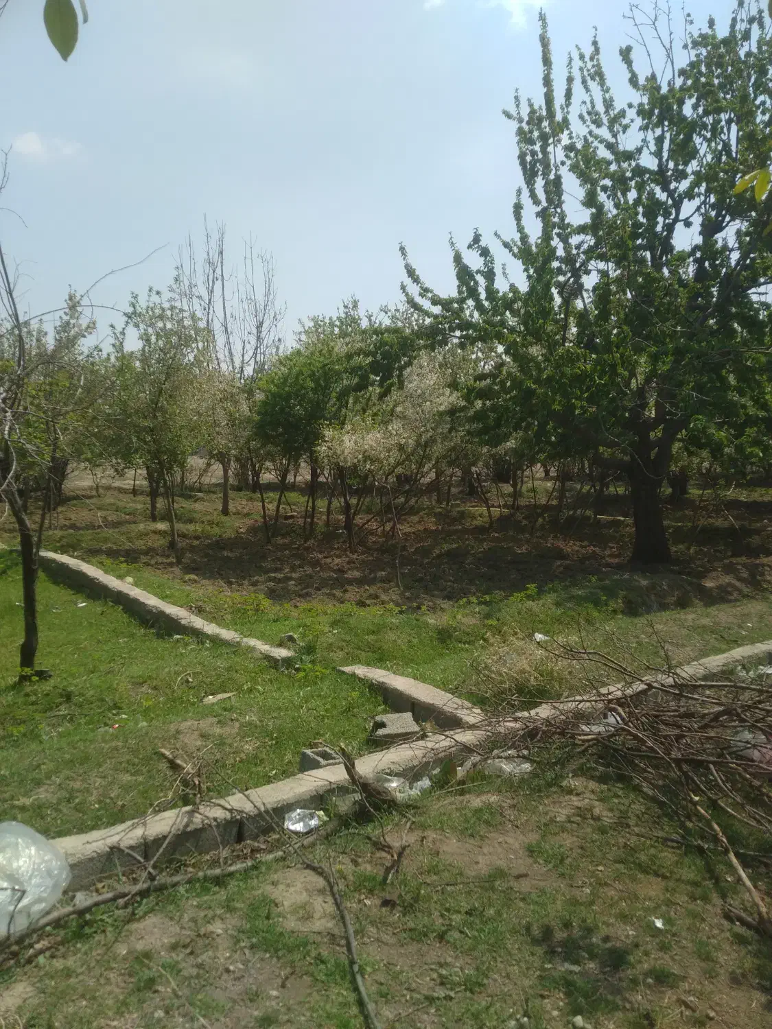 ۵قطعه باغچه ۳۵۰ متری سنددارکنارهم درکرج|فروش زمین و ملک کلنگی|کرج, کلاک پایین|دیوار