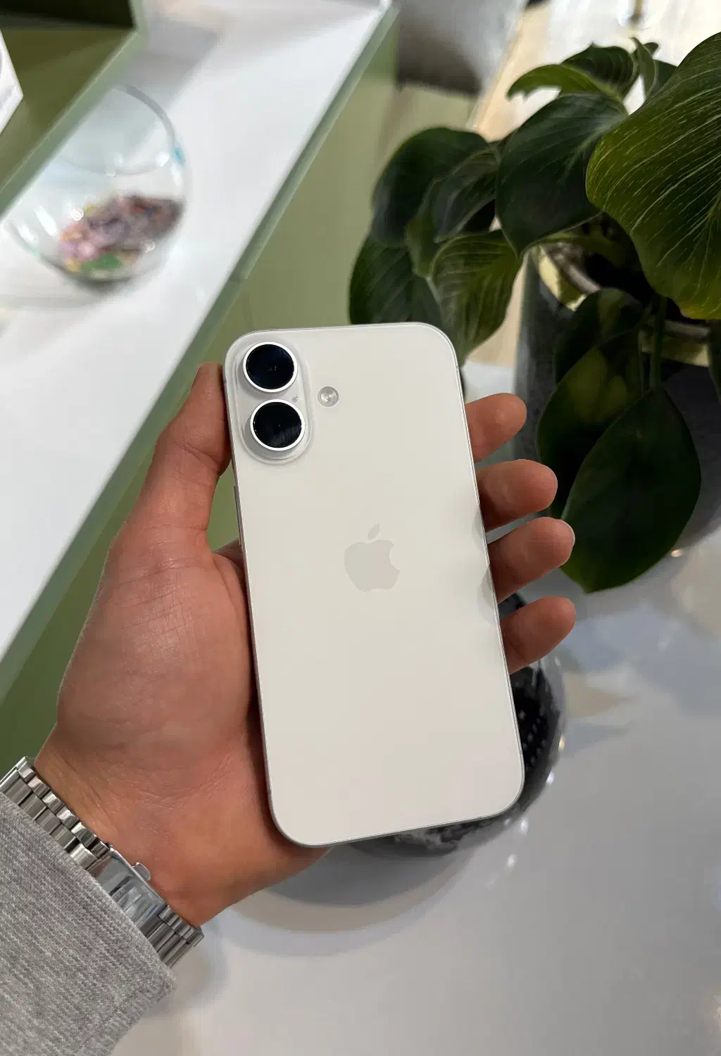 آیفون ۱۶ نرمال|موبایل|رشت, دیلمان|دیوار