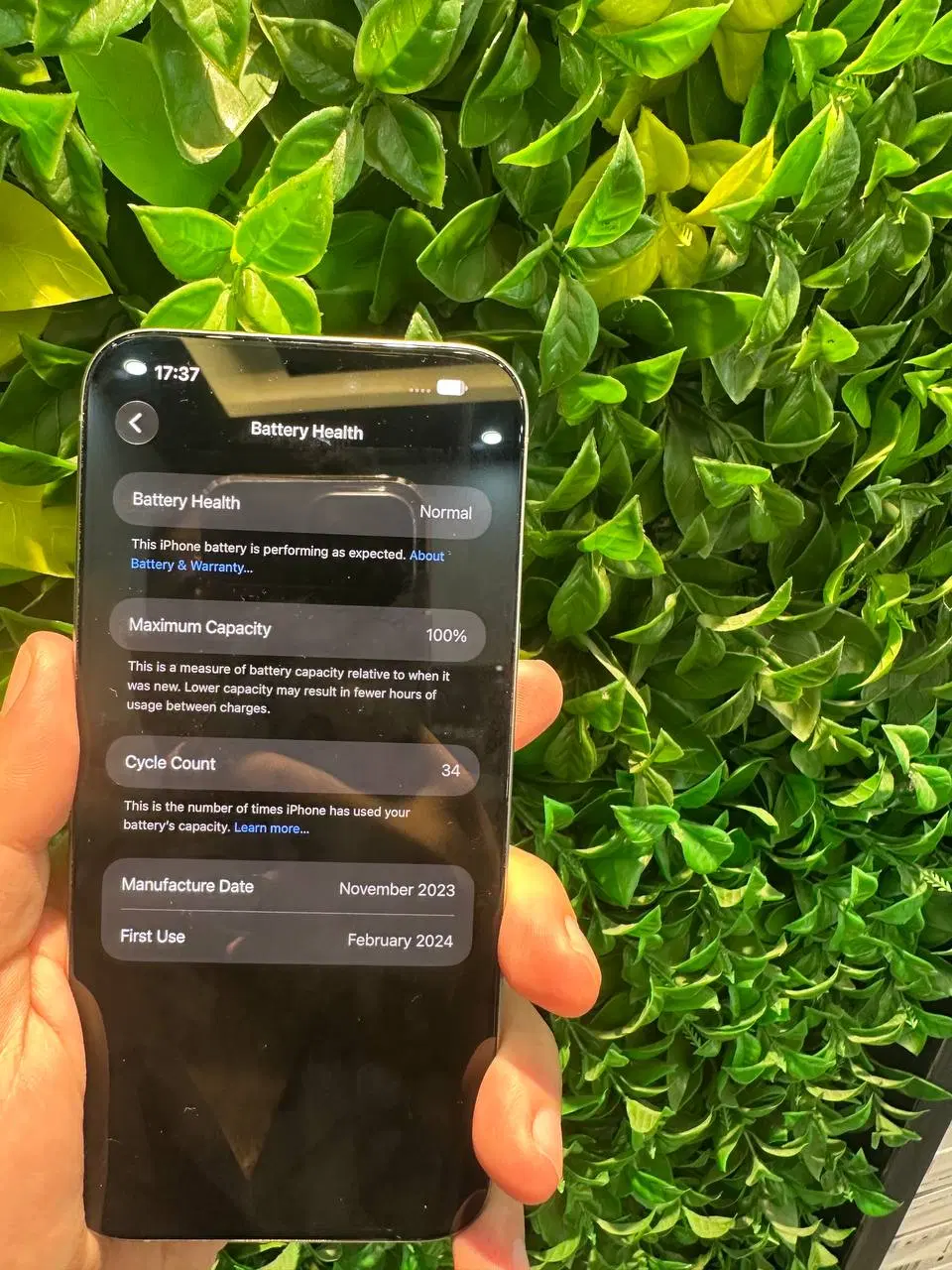 iPhone 15 promax|موبایل|بابل, |دیوار