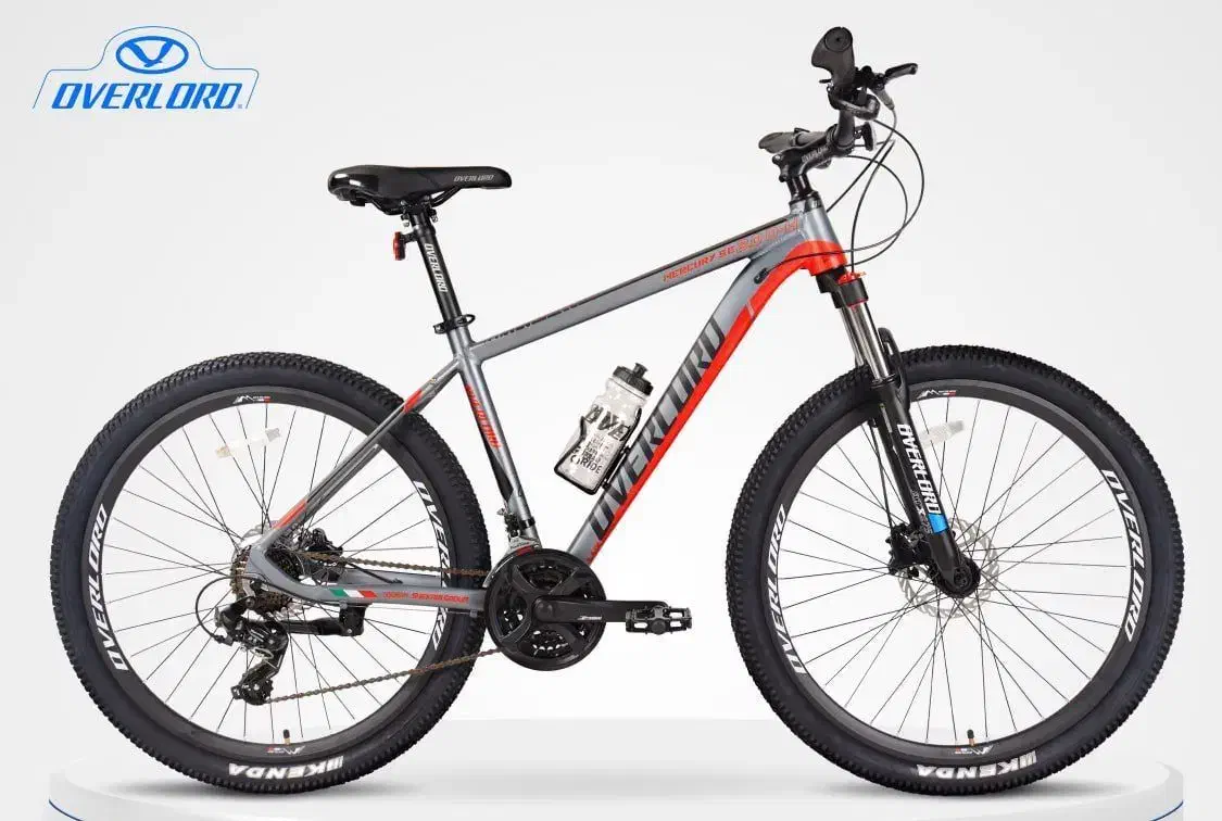 دوچرخه لاستیک پهن//|دوچرخه، اسکیت، اسکوتر|اصفهان, مولوی|دیوار