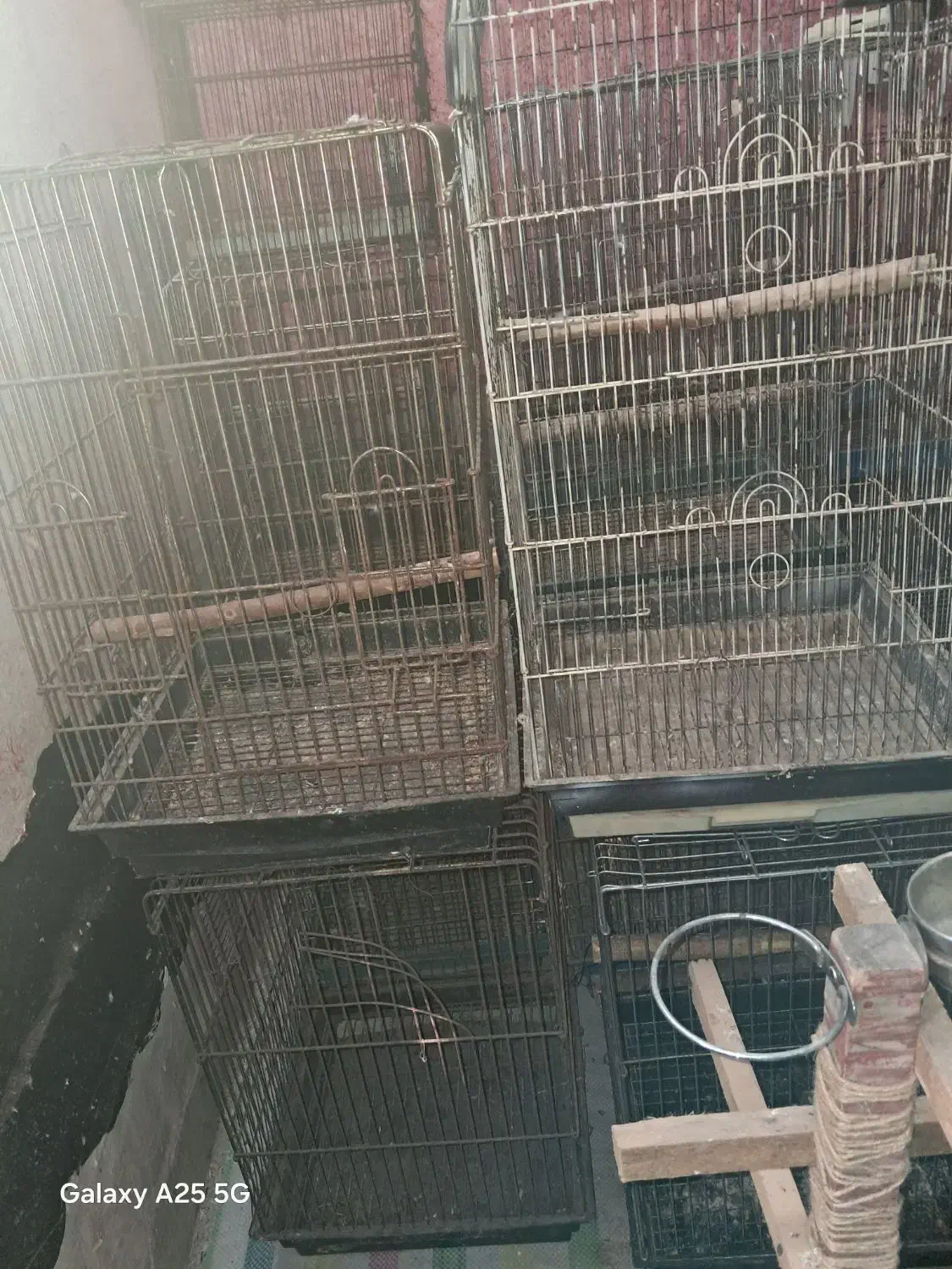 تعدادی قفس پرنده دست دوم|لوازم جانبی حیوانات|رشت, گلسار|دیوار