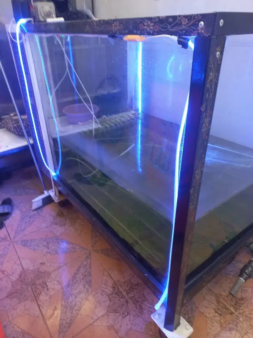 آکواریم ماهی غزل|ماهی|تیران, |دیوار