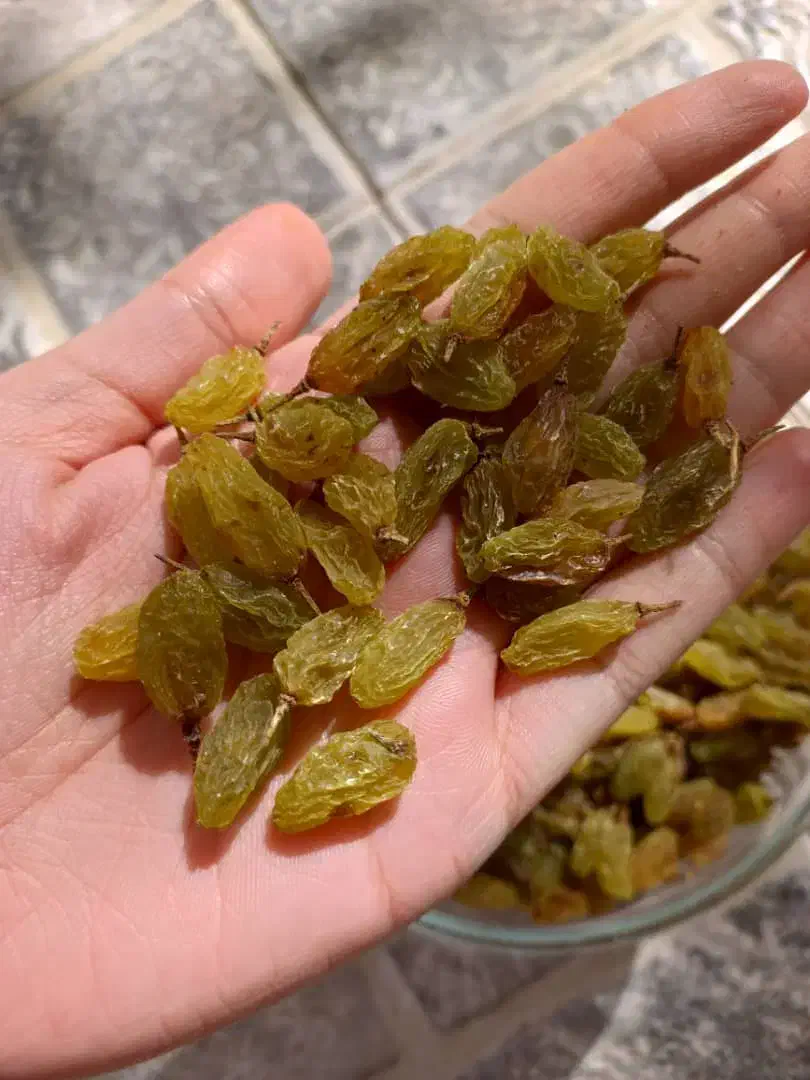 کشمش سبز اجیلی|خوردنی و آشامیدنی|یاسوج, |دیوار