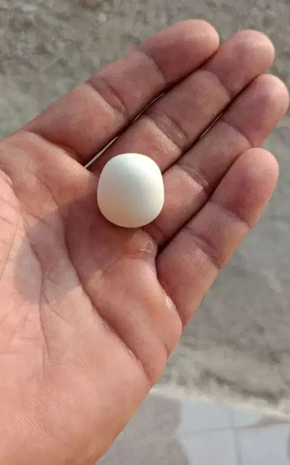 سنگ آسیاب|کلکسیون اشیاء عتیقه|مینودشت, |دیوار