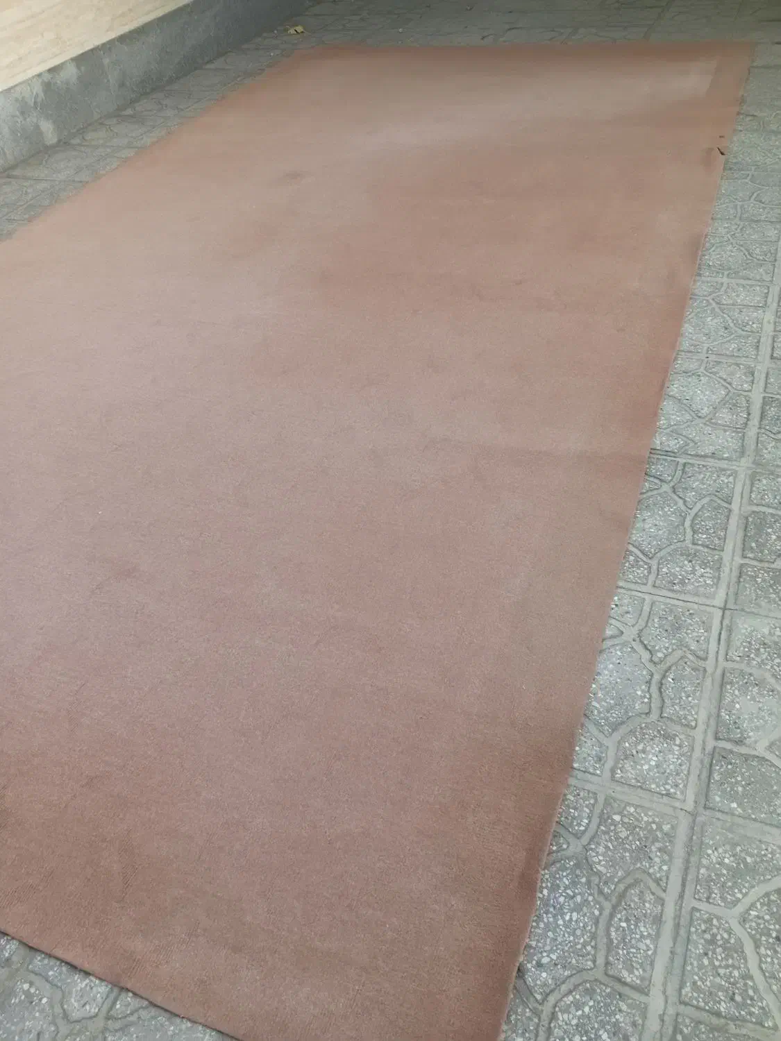 موکت|موکت|سمنان, |دیوار