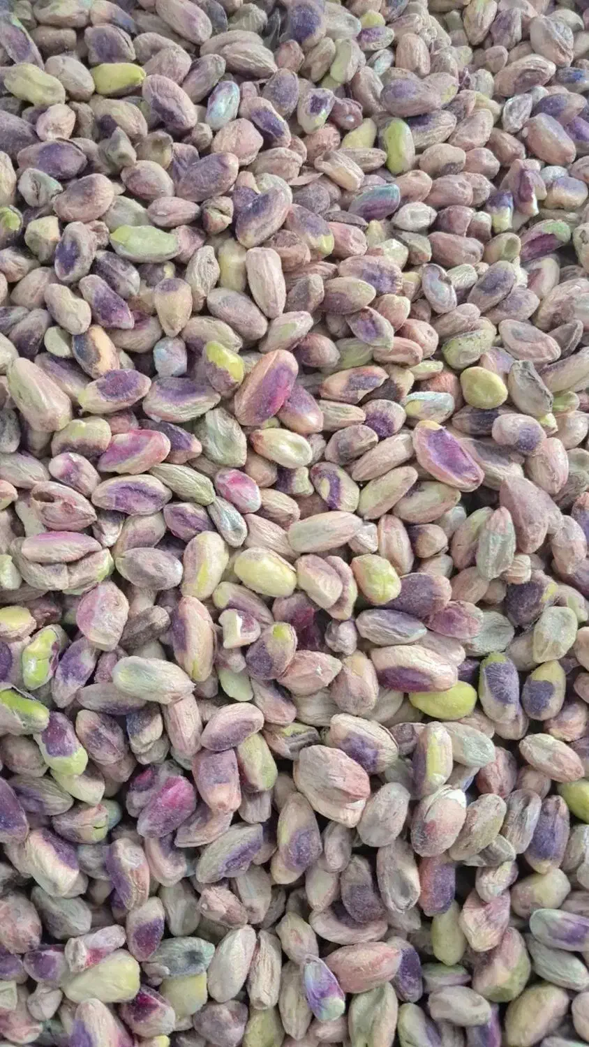 فروش مغزه پسته گلدار و سبز فیض آباد|خوردنی و آشامیدنی|تهران, ترمینال جنوب|دیوار