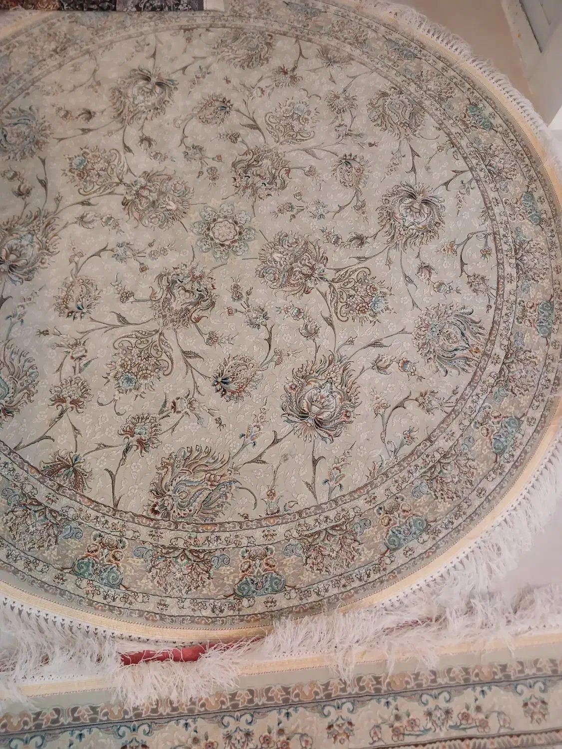 فرش ۱۲ متری|فرش|داراب, |دیوار