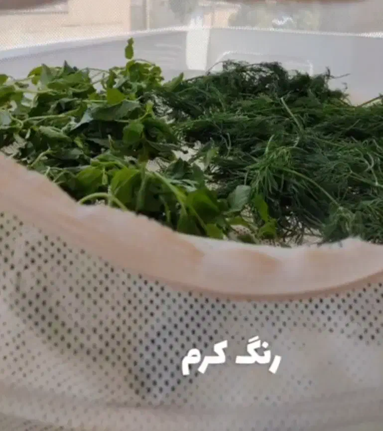 تورمیوه وسبزی خشک کن خانگی|ظروف نگهدارنده، پلاستیکی، یک‌بارمصرف|رودسر, |دیوار