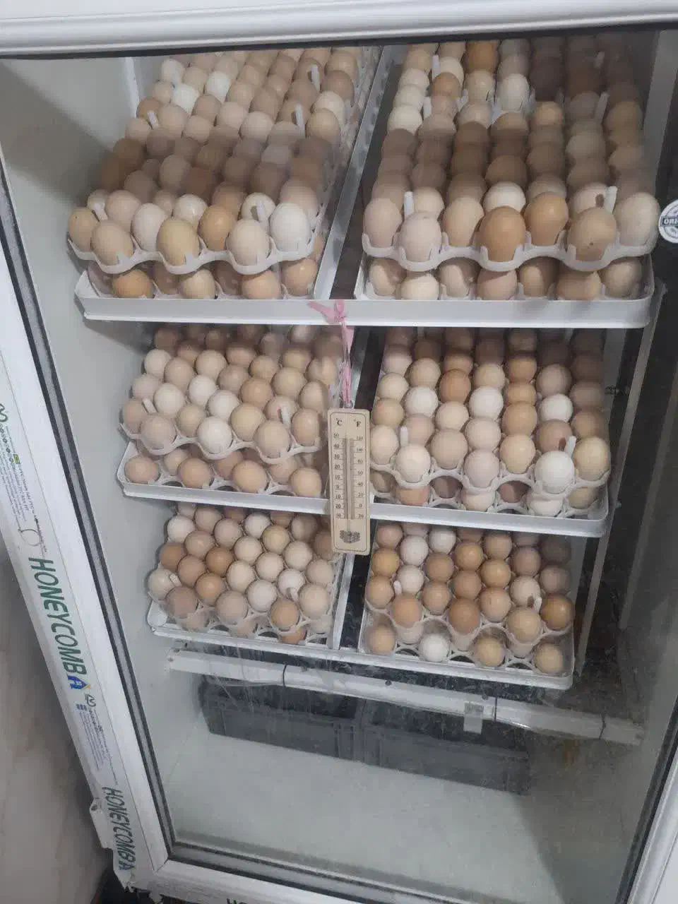 دستگاه جوجه کشی 1000تایی نو نو سالم  تضمین|لوازم جانبی حیوانات|مشهد, ابوذر|دیوار