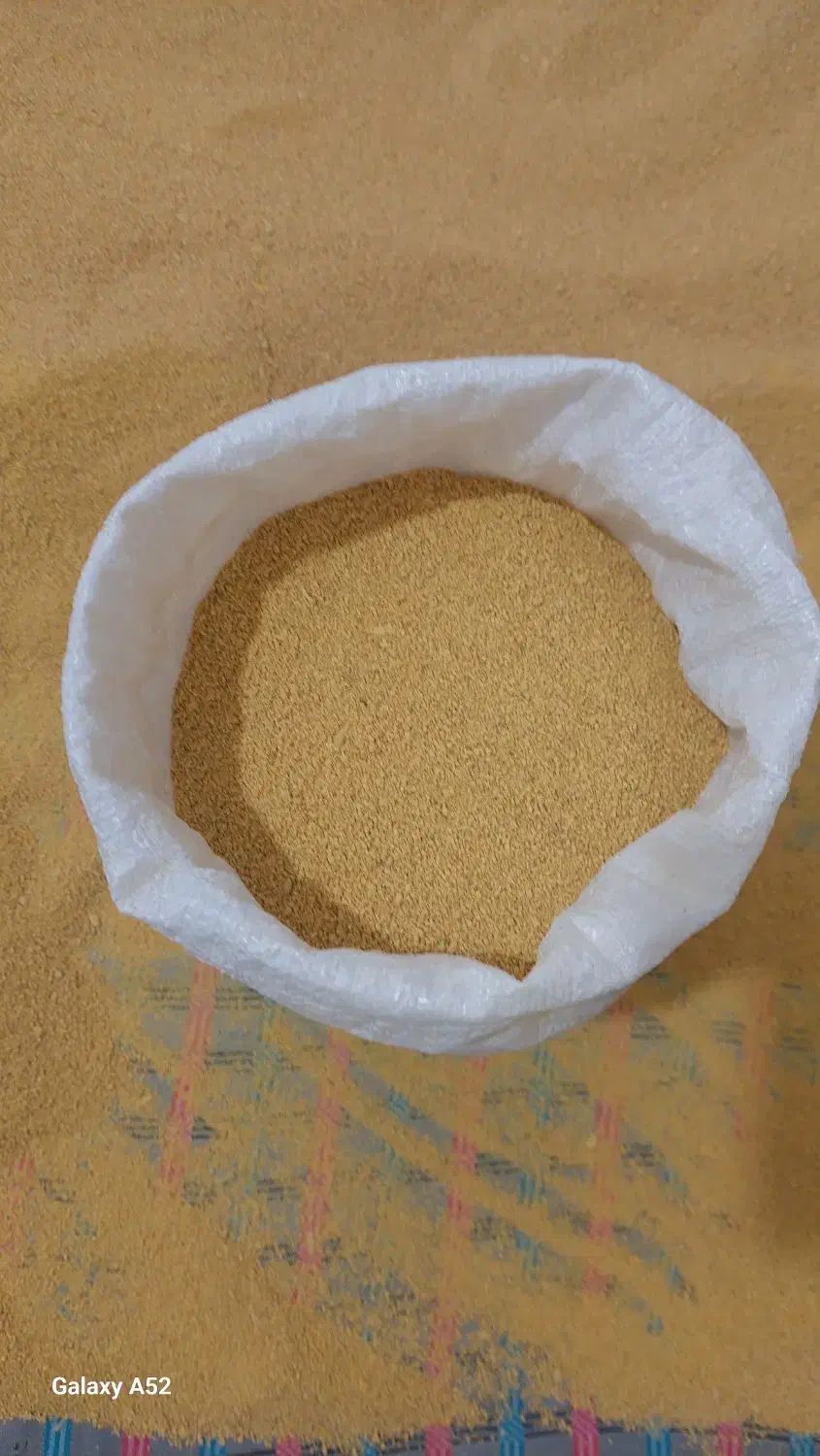 کشک زرد زابل|خوردنی و آشامیدنی|دلند, |دیوار