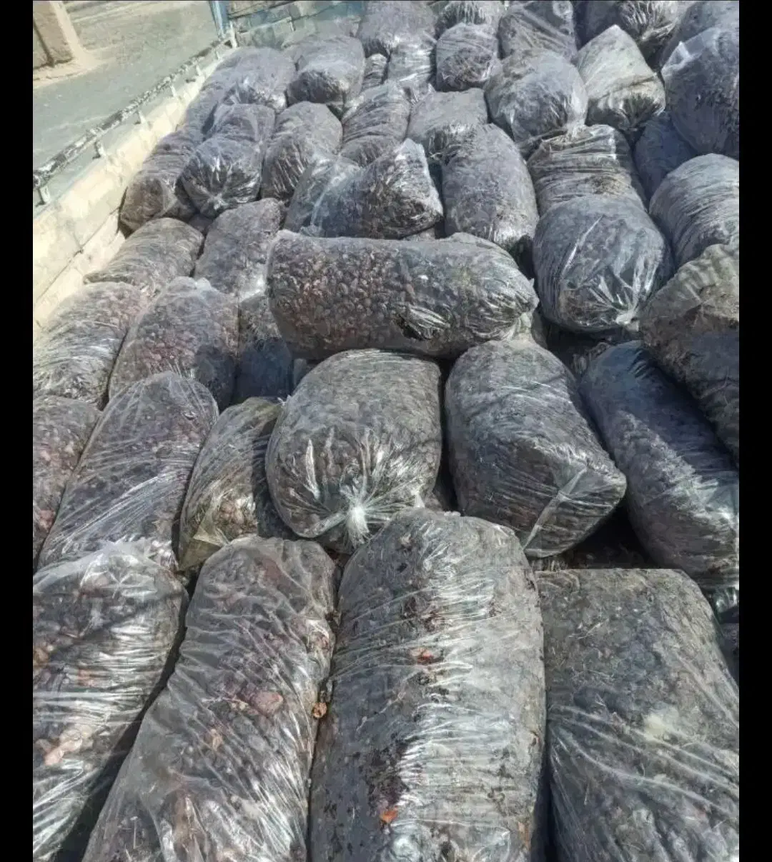 خریدار (پون) ضایعات خرما|خدمات پیشه و مهارت|سیب و سوران, |دیوار