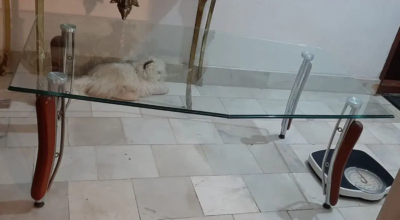 میز جلو مبلی بزرگ|مبلمان خانگی و میز عسلی|ارومیه, |دیوار