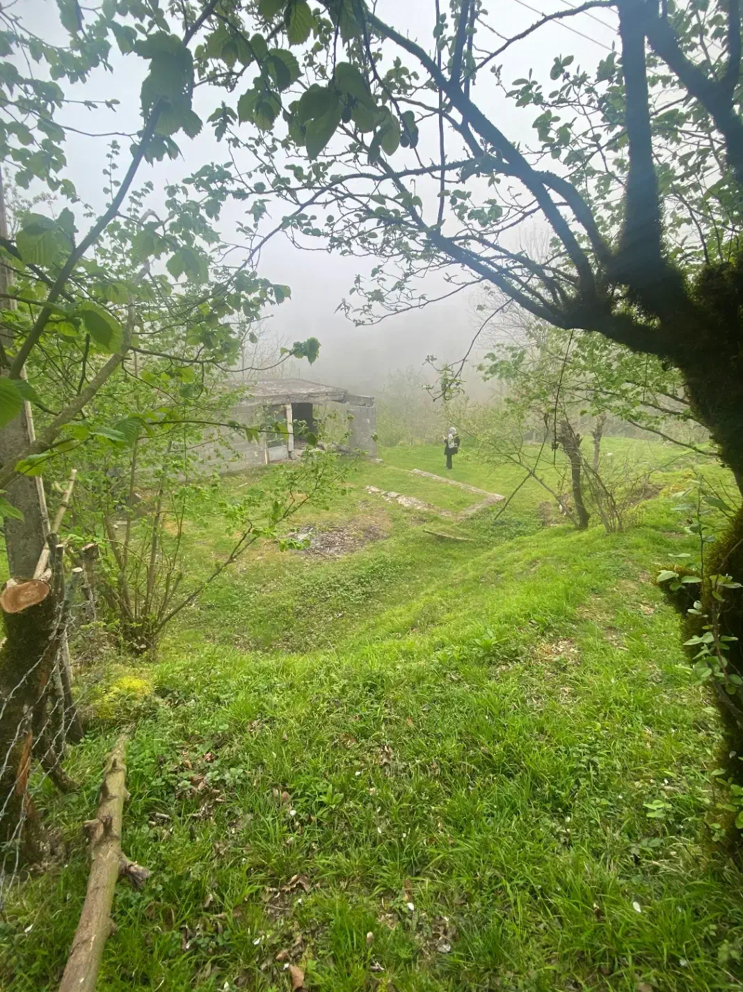 زمین|فروش زمین و ملک کلنگی|لیسار, |دیوار