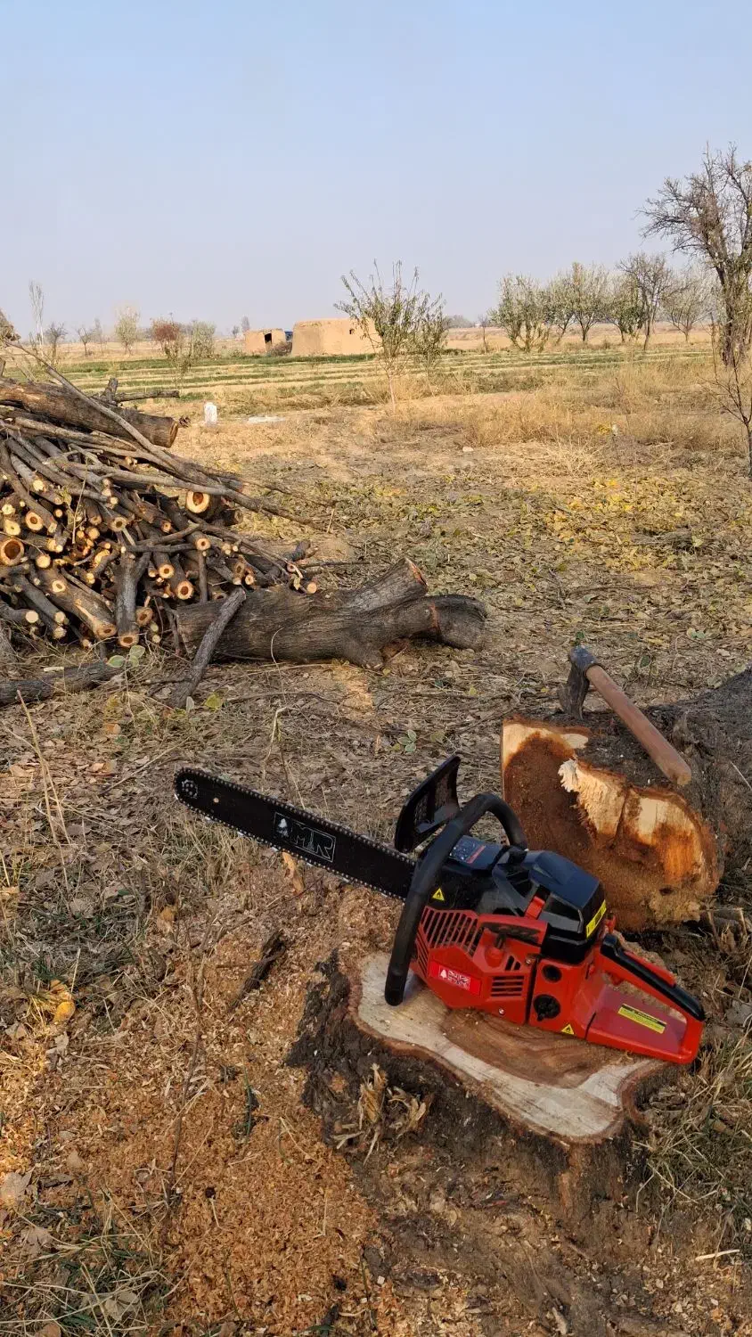 انواع خرید|خدمات باغبانی و درختکاری|مرند, |دیوار