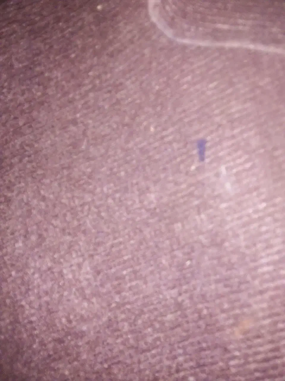 موکت طرح کبریتی سالم وتمیز|موکت|قوچان, |دیوار