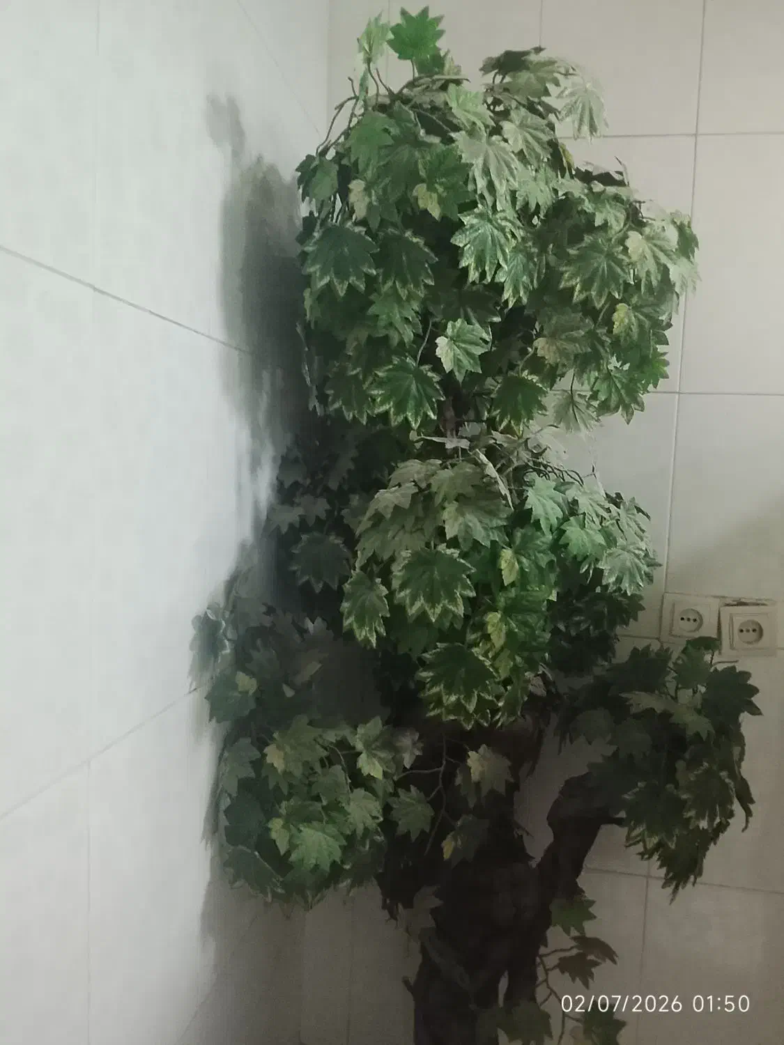 گل و گیاه|گل مصنوعی|اهواز, اسلام آباد شرقی|دیوار