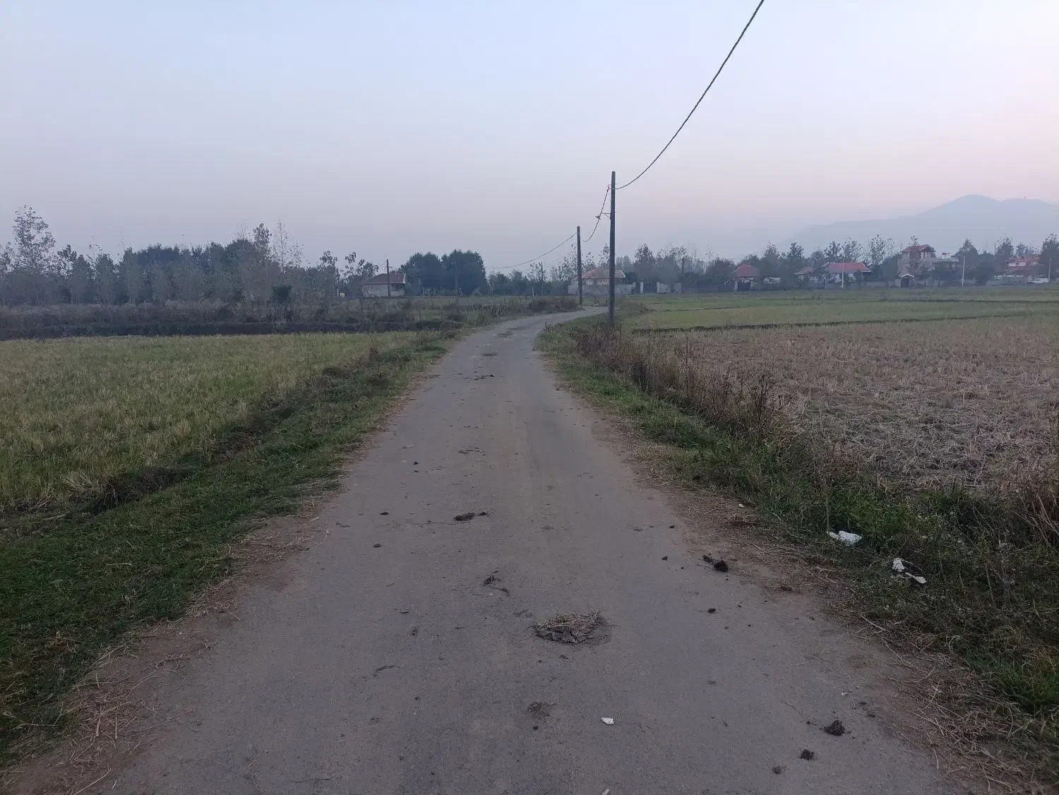 25000 هزار متر شالیزار سنتی بافت روستا|فروش زمین و ملک کلنگی|ماسال, |دیوار