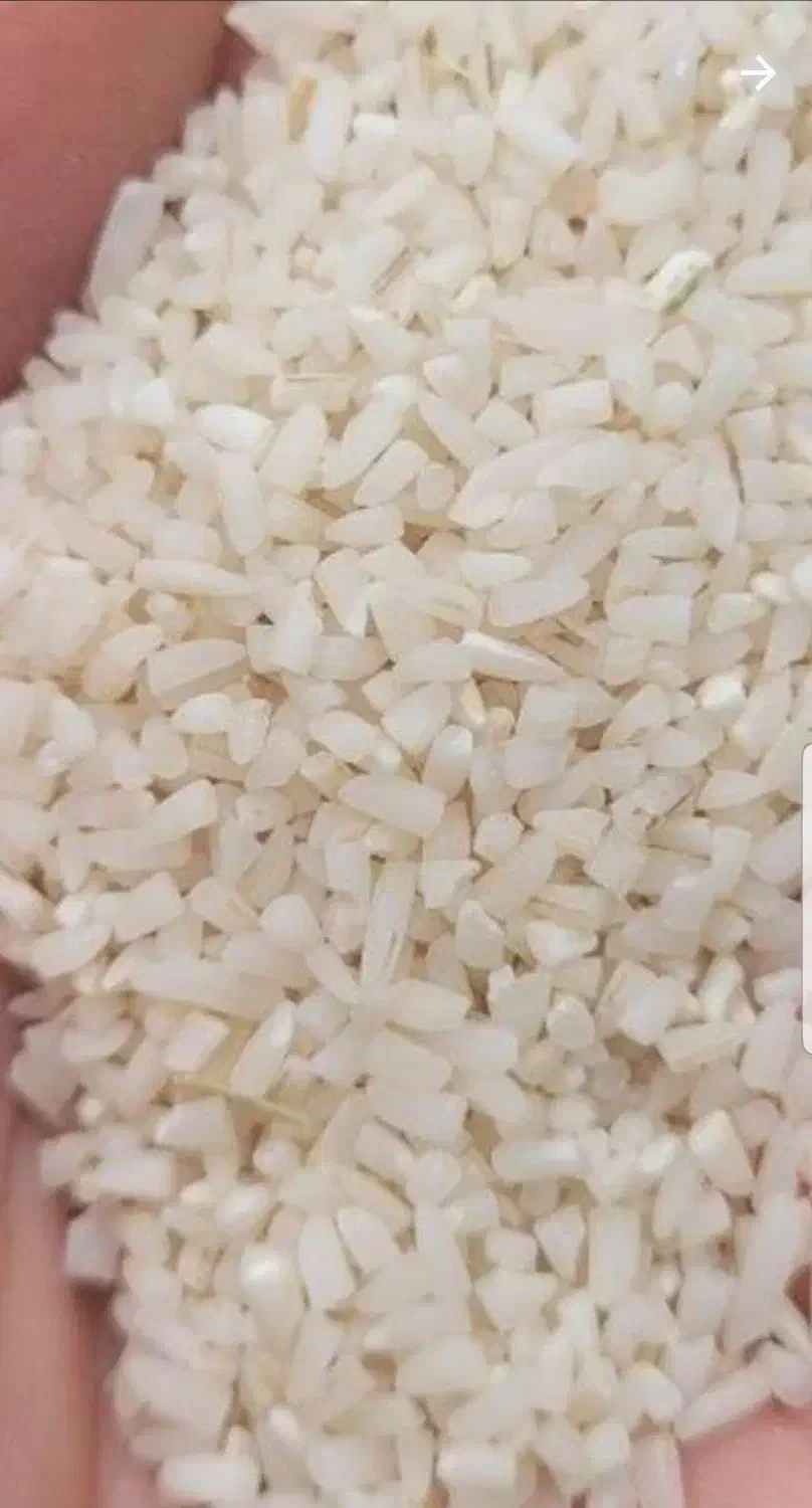 برنج هاشمی خوش عطر و طعم سورتینگ شده دو الکه|خوردنی و آشامیدنی|لنگرود, |دیوار