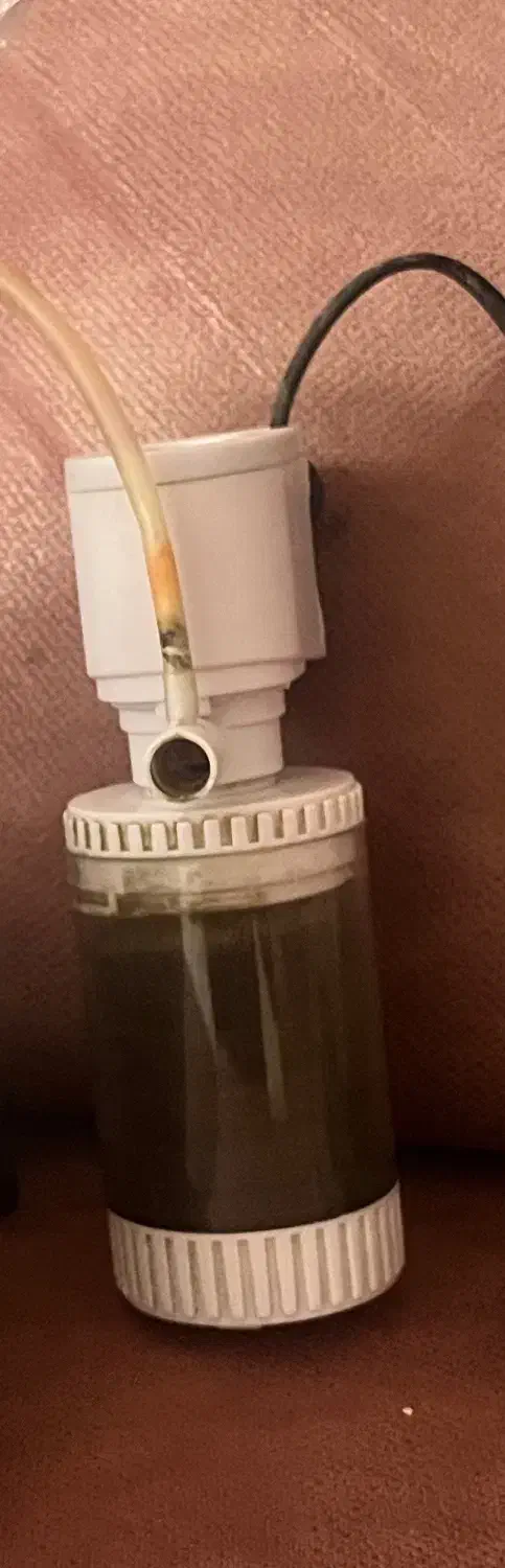 لوازم اکواریوم|لوازم جانبی حیوانات|کاشمر, |دیوار