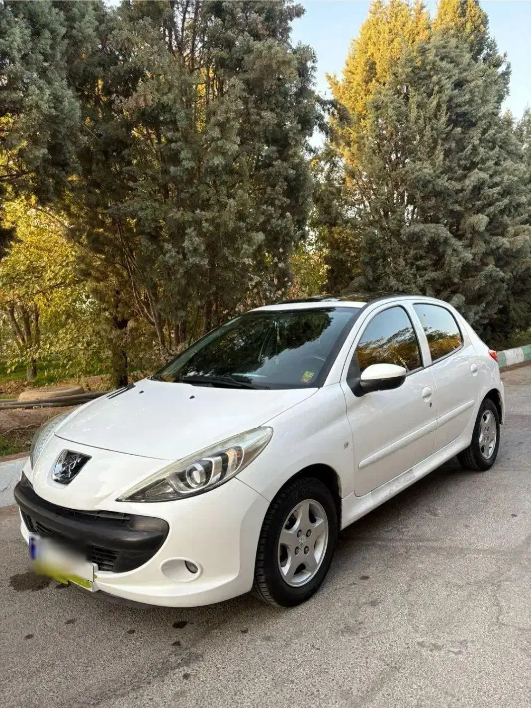 فروش ۲۰۷ سقف شیشه ای|خودرو سواری و وانت|اصفهان, ارغوانیه|دیوار