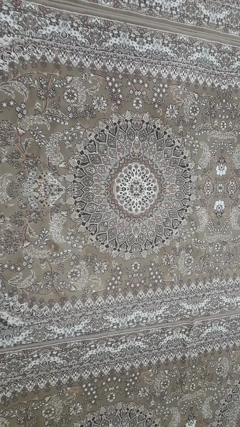 قالی|فرش|مریوان, |دیوار