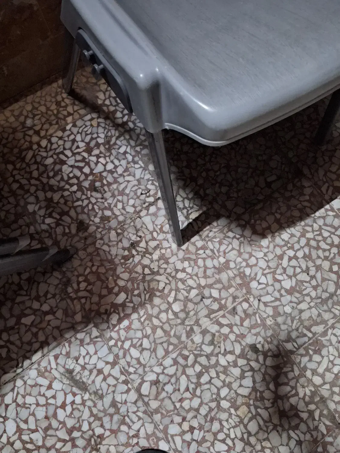 صندلی باغی ناصر|میز و صندلی غذاخوری|نوشهر, |دیوار