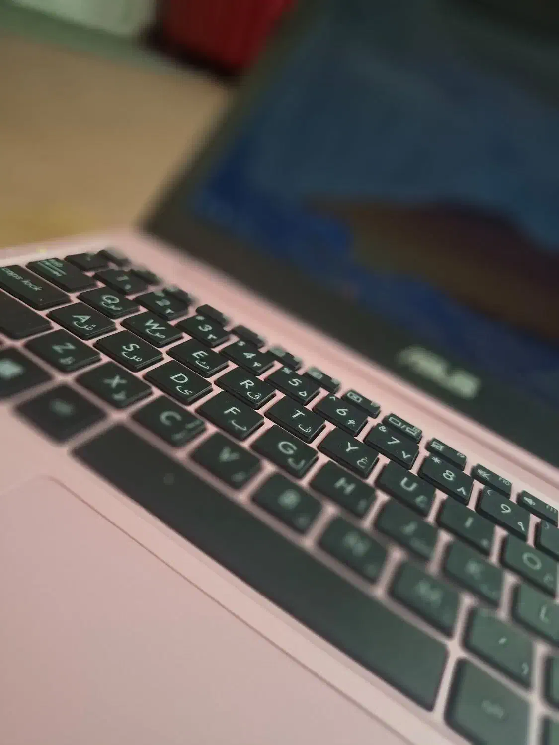 لپ تاپ ASUS203|رایانه همراه|مشهد, طبرسی شمالی|دیوار