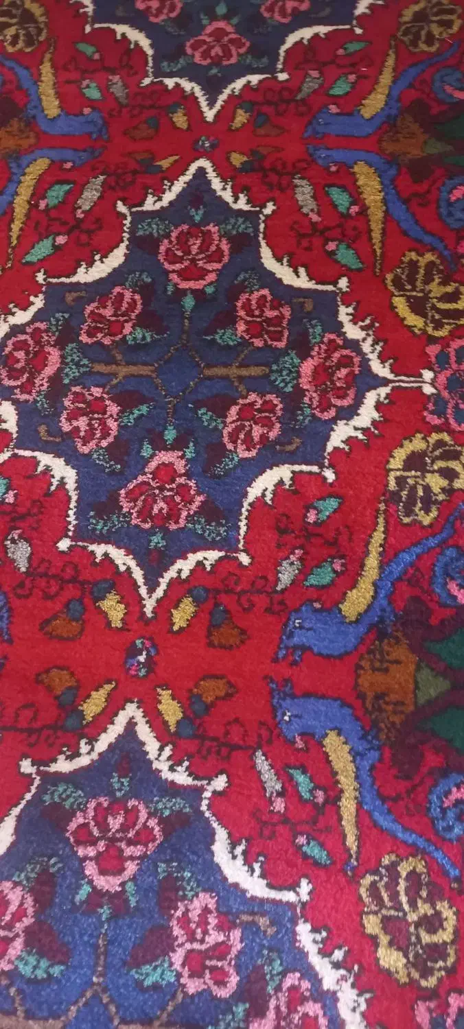 فرش دستباف نو اصلا پانخورده|فرش|قروه, |دیوار