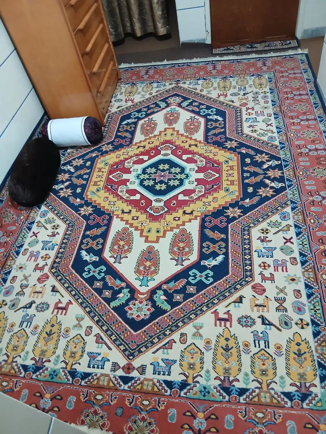 فرش ۹ متری|فرش|مرودشت, تامین اجتماعی‎|دیوار