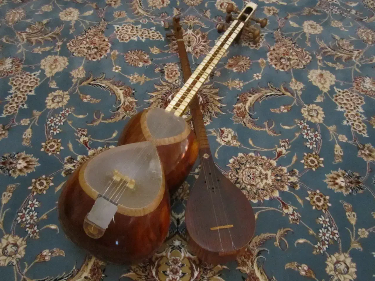 آموزش خصوصی و تضمینی تار و سه‌تار|خدمات آموزشی|تهران, قلهک|دیوار
