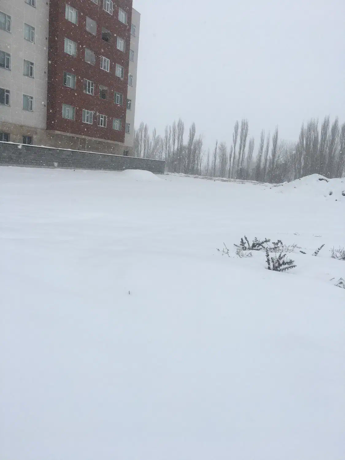 مسکن ملی|فروش آپارتمان|خلخال, |دیوار