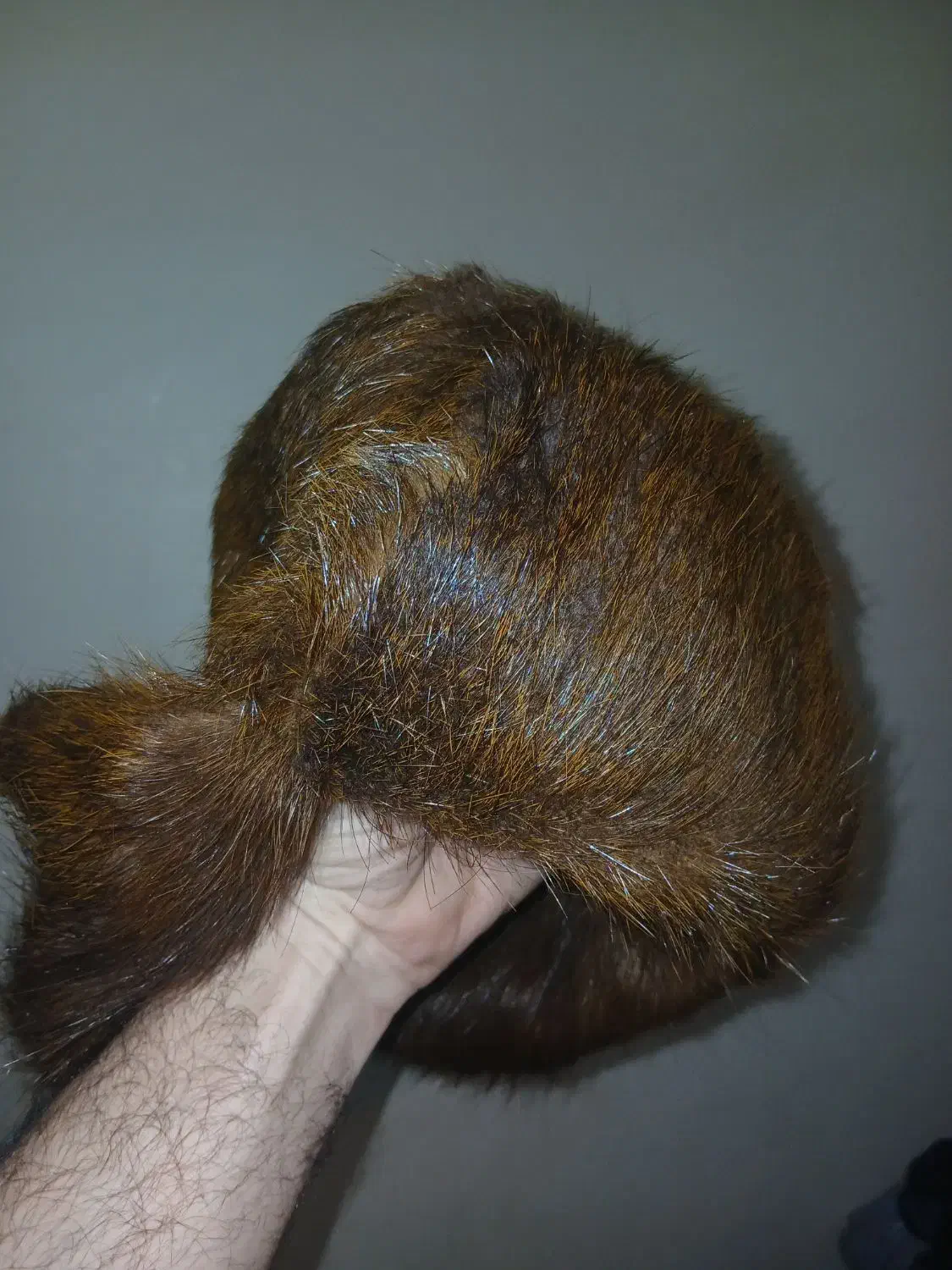 کلاه روسی|لباس|تهران, تسلیحات|دیوار