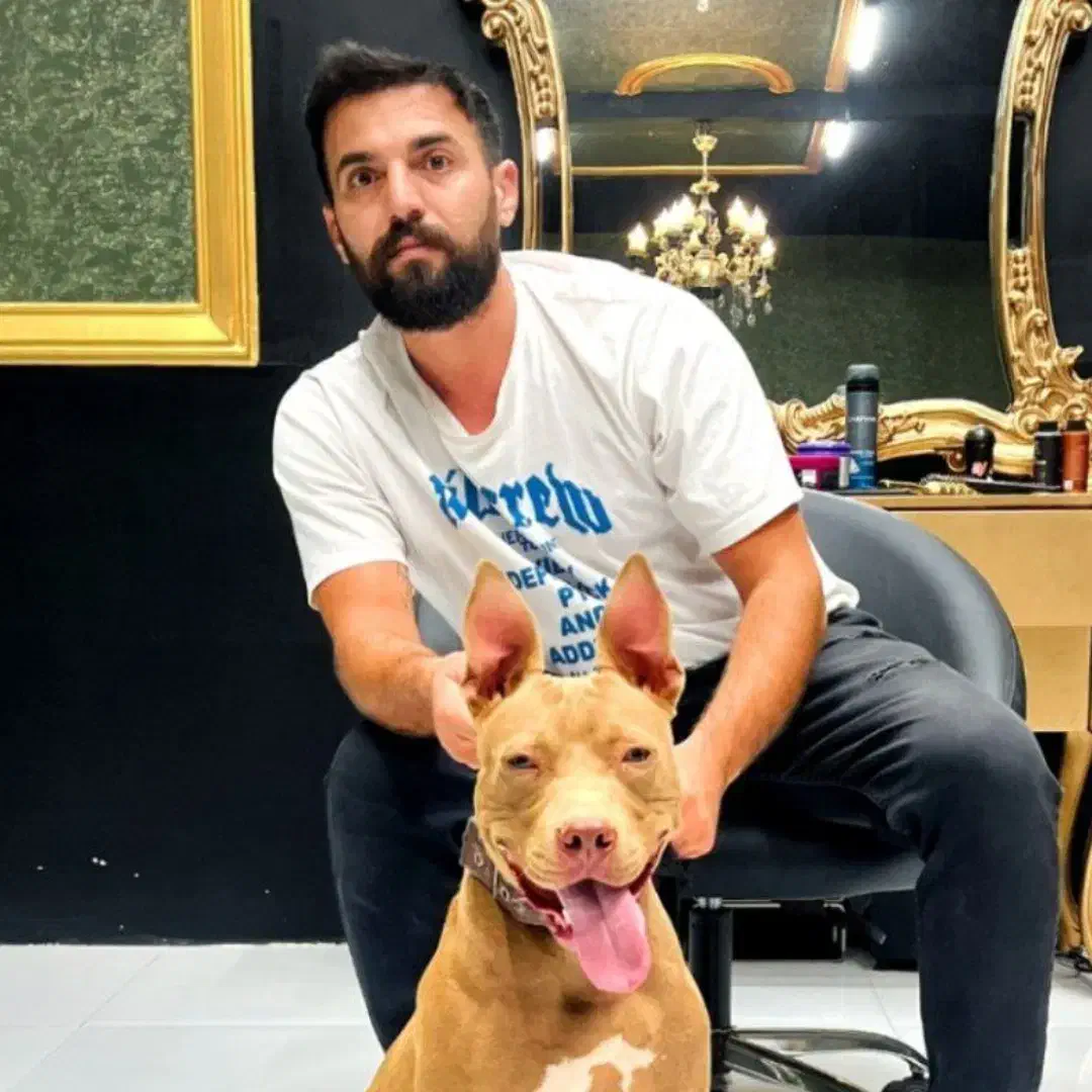 نقابی|سگ|تهران, سهروردی|دیوار