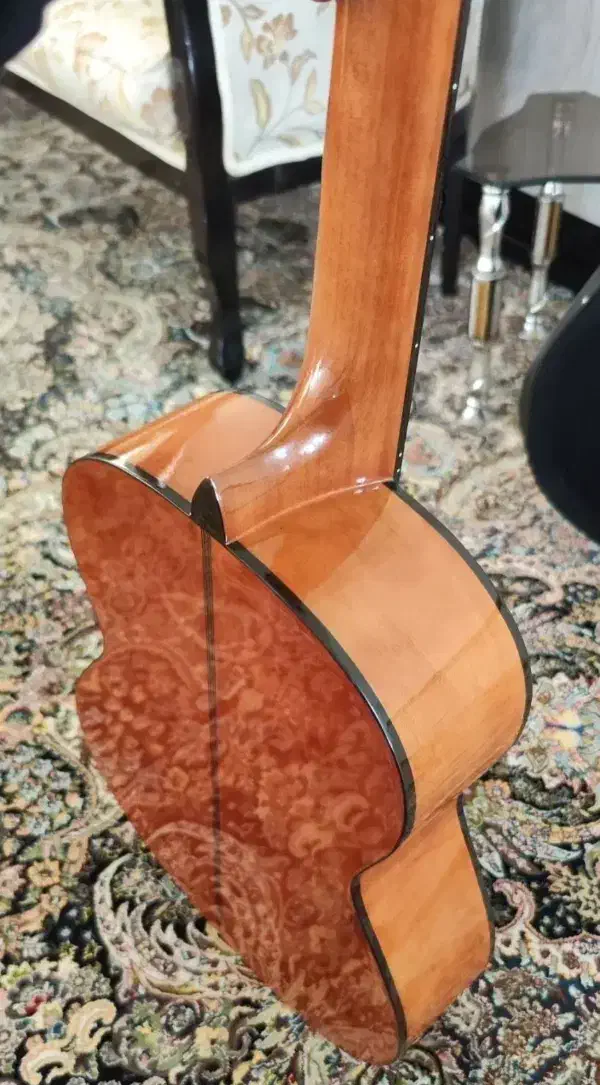 گیتار|گیتار، بیس، امپلیفایر|دامغان, |دیوار