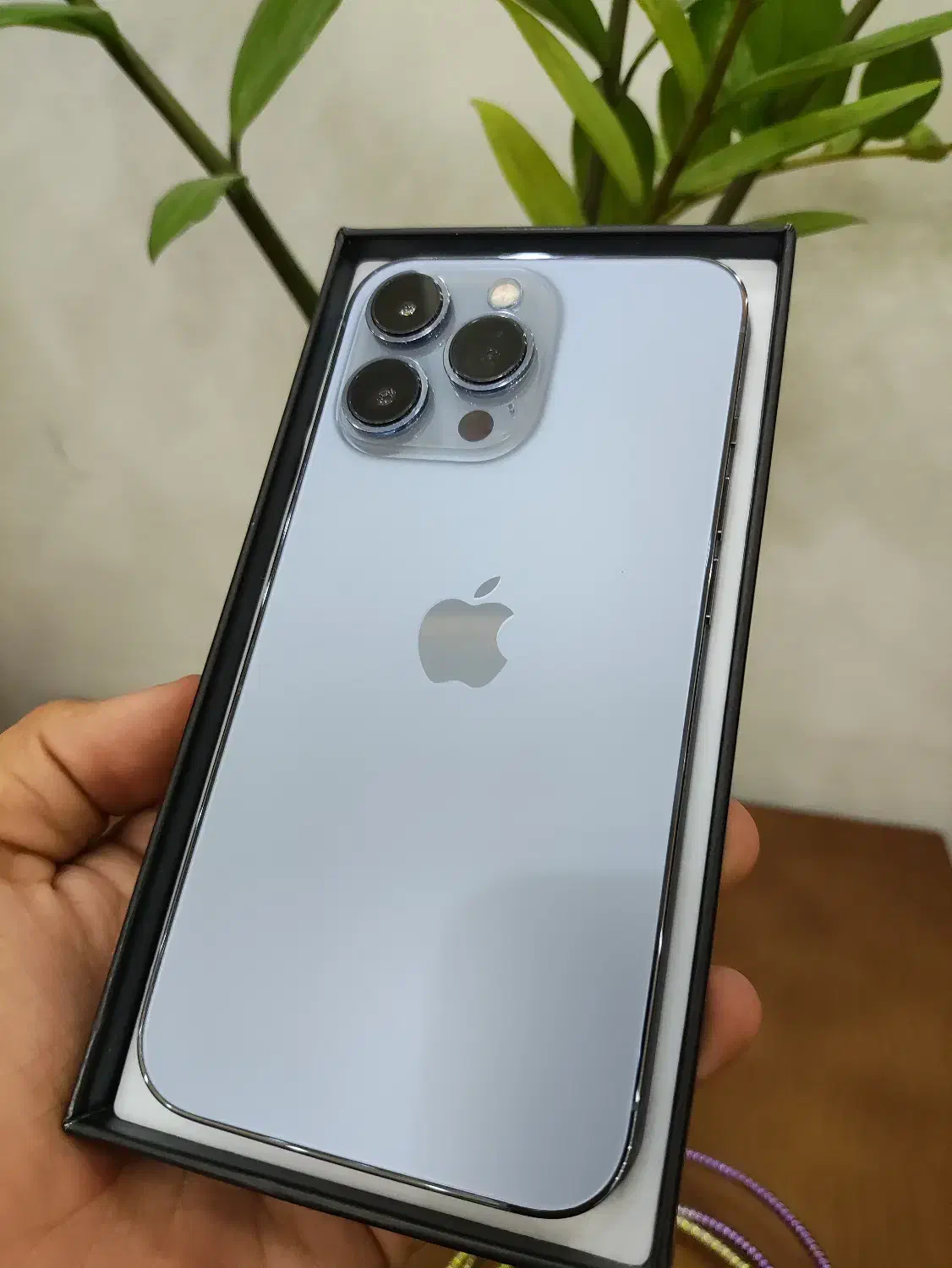 iPhone 13pro|موبایل|پرند, فاز ۶|دیوار