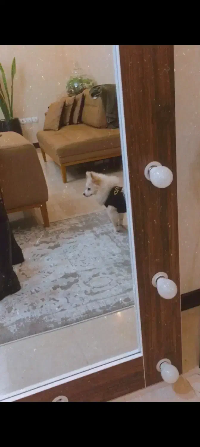 آینه قدی|آینه|تهران, سعادت‌آباد|دیوار