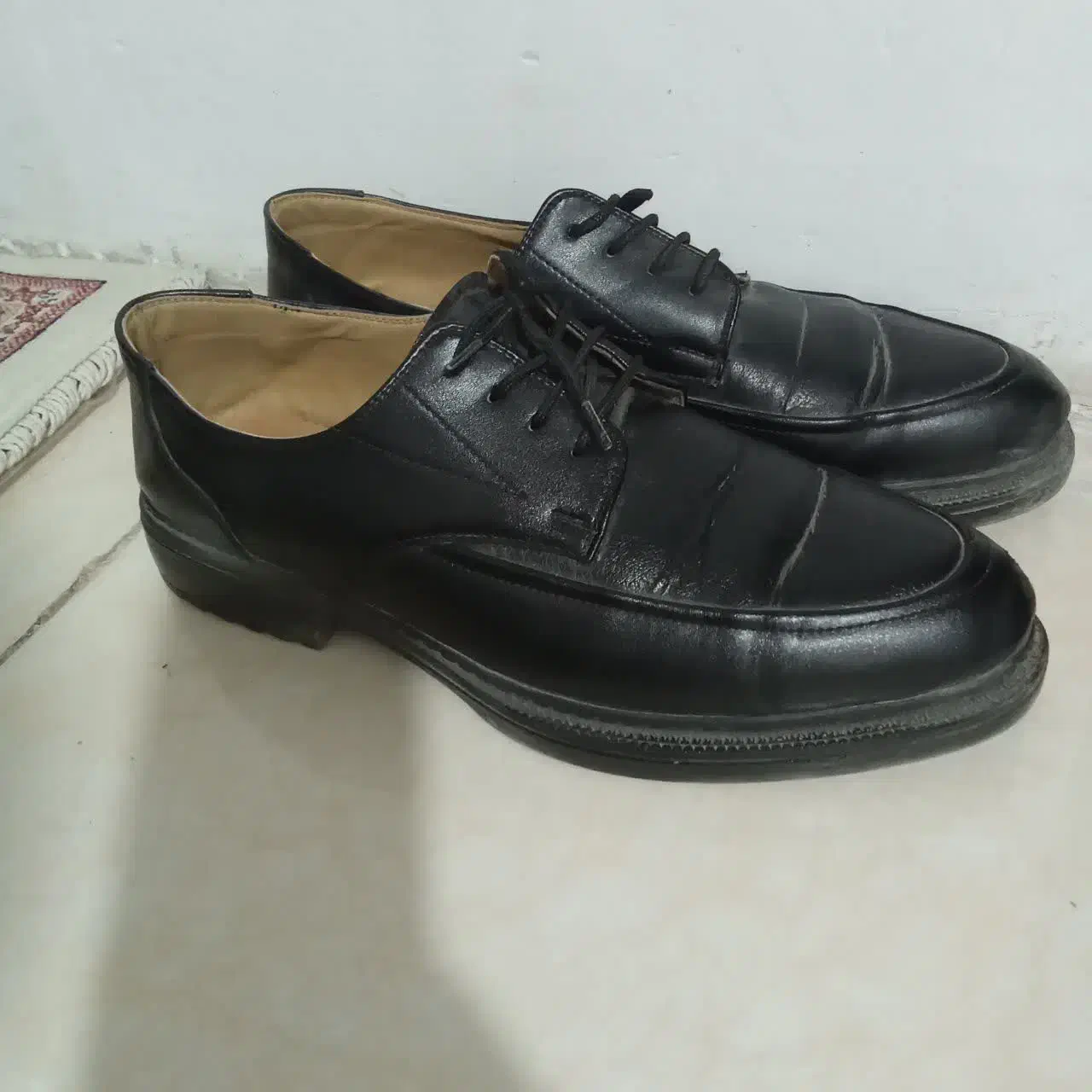 کفش|کیف، کفش، کمربند|مشهد, نرگس (شهرک غرب)|دیوار