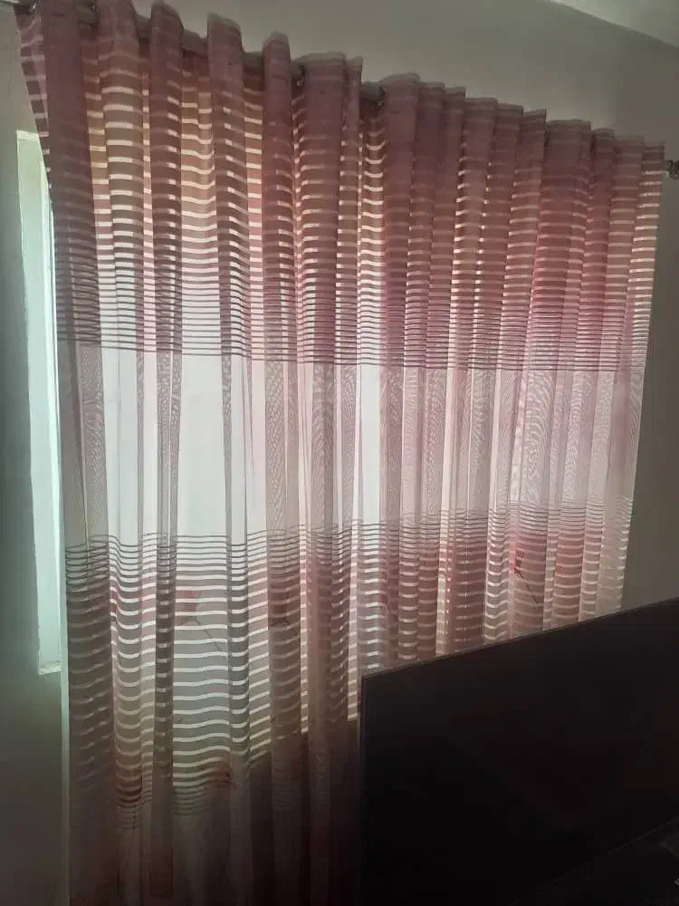 پرده سالم|پرده، رانر، رومیزی|رشت, کوی مهر|دیوار