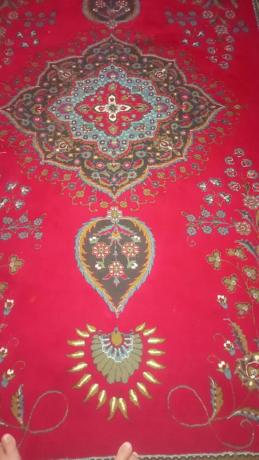 قالی ش متر و۱۲ متر قرمز|فرش|ایوان, |دیوار