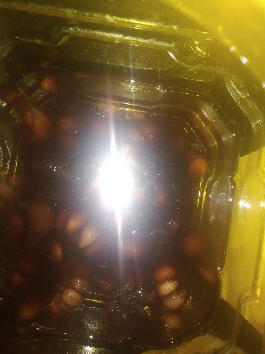 سیر ترشی ۷ساله بشرط|خوردنی و آشامیدنی|اهواز, کوروش|دیوار