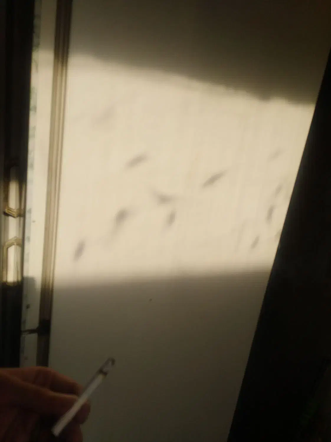 فریزر gorenje|یخچال و فریزر|بومهن, |دیوار