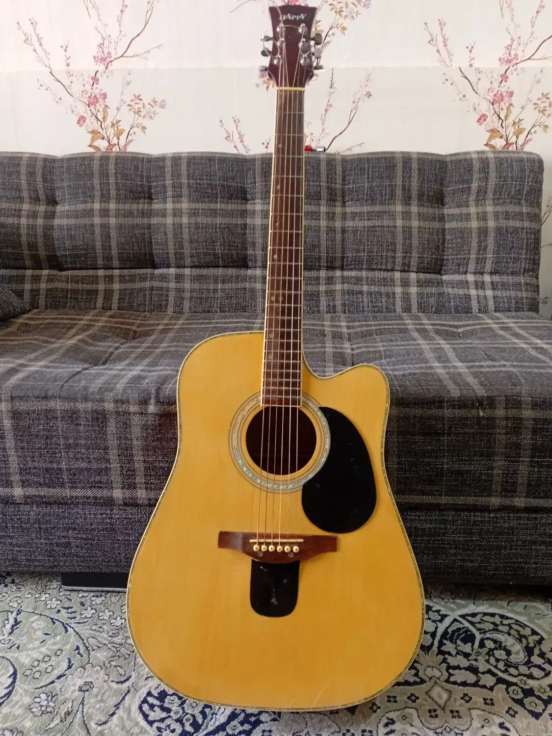 فروش گیتار فولک|گیتار، بیس، امپلیفایر|فین, |دیوار