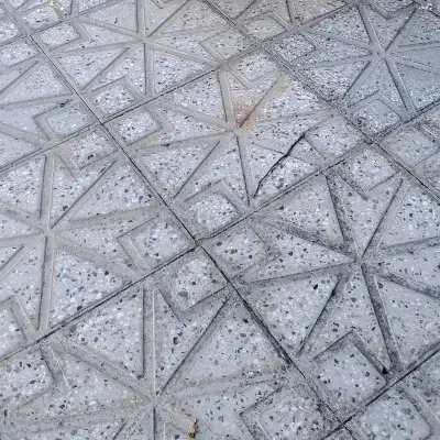 یک سگ پیدا شده|سگ|فسا, |دیوار