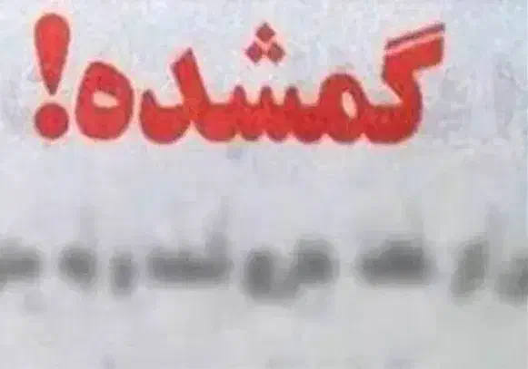 گواهینامه ام گمشده در پارک صداسیما|اشیا|کرمان, |دیوار